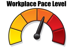 Dashboard-Job-Workplace-Pace