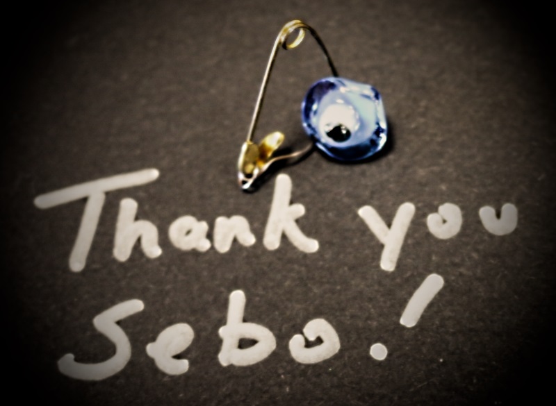 OfficeDivvy-Blue-Eye-Blog-Thank-You-Sebo